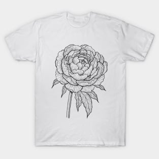 Peony drawing 2 T-Shirt